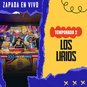 LOS LIRIOS / Zapada EN VIVO en UN POCO DE RUIDO !