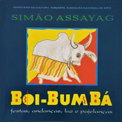 Boi-Bumbá: Festas, Andanças, Luz e Pajelanças