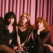 Folk Bitch Trio: The Actor