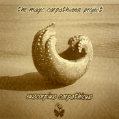 Amp Ass by The Magic Carpathians Project