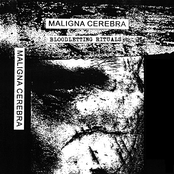 Bloodletting Rituals