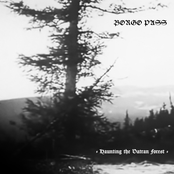 Haunting the Vatran Forest
