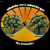The Dramatics: Whatcha See Is Whatcha Get