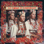 Sun Syleilysi On Turvapaikkani