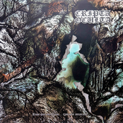 Rios Que Correram... Rios Que Secaram