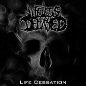 Life Cessation