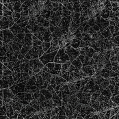 Dosis Letalis / Danshoku Dino