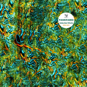 Selected Works 2004​-​2021