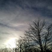 Yesterday's Dreaming