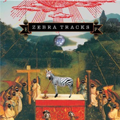zebra tracks