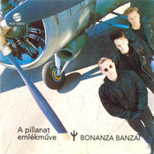 Bonanza Pogo by Bonanza Banzai