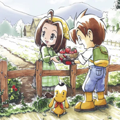 Harvest Moon: A Wonderful Life OST (Looped)