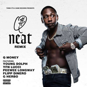 Neat (feat. Young Dolph, YFN Lucci, Peewee Longway, Flipp Dinero  G Herbo) (Remix)