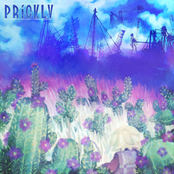 Something Worth Celebrating