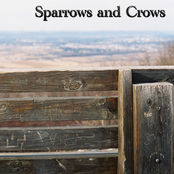 Sparrows and Crows