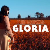 The Shivas: Gloria