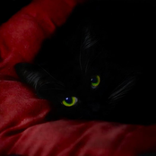 heaven, for a moment