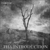 Tha Introduction
