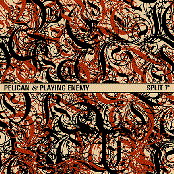 Pelican and Playing Enemy Split 7 Inch