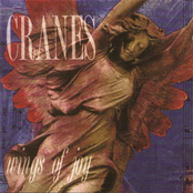 Thursday by Cranes