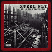 Steel Fly
