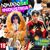 Domando la Industria