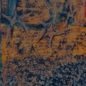 Willycord Covers Vol.2