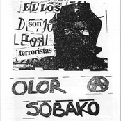 Olor A Sobako