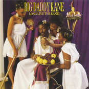 Big Daddy Kane: Long Live the Kane