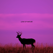 Love Of Nature(Winter)