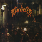 Tribute to Mortician