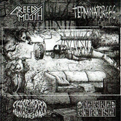 Greedy Mouth / Terminator 666 / Camphora Monobromata / Matka Teresa