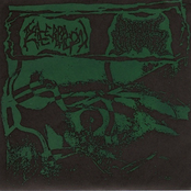 Exacerbación / Psychotic Sufferance