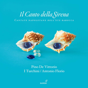 Il Canto della Sirena: Cantate Napoletane dell'Eta Barocca