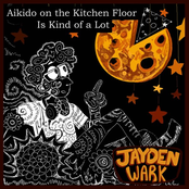 Aikido on the Kitchen Floor Is Kind of a Lot - Single