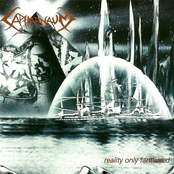 Reality Only Fantisized