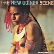 The New Guinea Scene