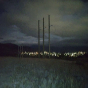 Paper From My/ilihawS lanosreP nwO