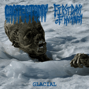 First Days of Humanity / Costectomy