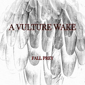 A Vulture Wake: Fall Prey