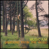Unwound from the Wood