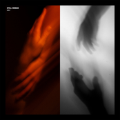 Still Human