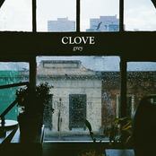 Clove: Grey