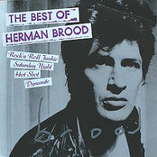 Is This What You Want by Herman Brood & His Wild Romance