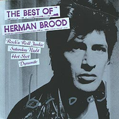 Sour Milk Sea by Herman Brood & His Wild Romance