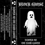 Echoes of the Dark Castle