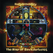 Blistered Heart by Badly Drawn Boy
