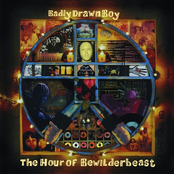 Cause A Rockslide by Badly Drawn Boy