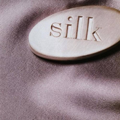 Silk: Silk