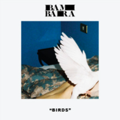 Bambara: Birds